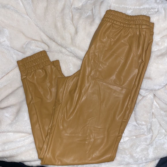 Mustard Express Vinyl Joggers - Picture 3 of 3